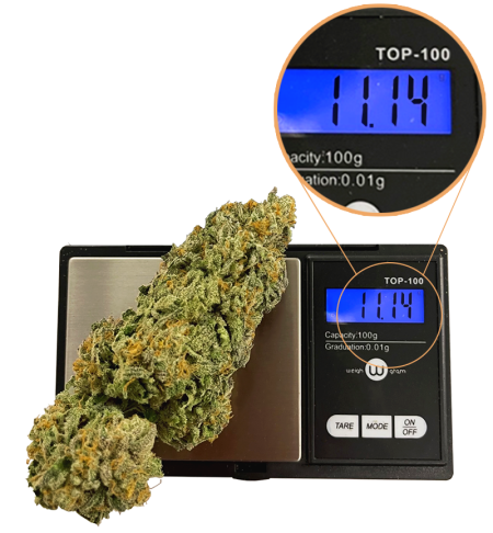 Photo of a large OTB cannabis nug on a scale reading 11.14 grams.